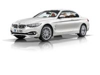 BMW 4-Series Convertible (2014) - picture 11 of 46