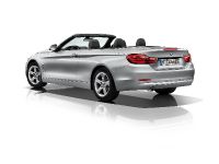 BMW 4-Series Convertible (2014) - picture 14 of 46