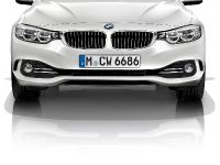 BMW 4-Series Convertible (2014) - picture 18 of 46