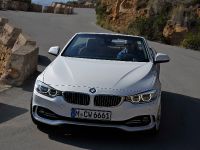 BMW 4-Series Convertible (2014) - picture 30 of 46