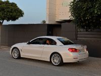 BMW 4-Series Convertible (2014) - picture 34 of 46
