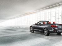 BMW 4-Series Convertible (2014) - picture 37 of 46