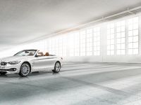 BMW 4-Series Convertible (2014) - picture 38 of 46