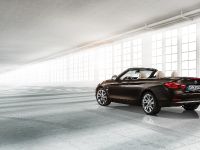 BMW 4-Series Convertible (2014)