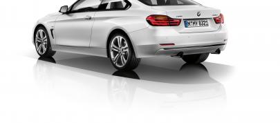 BMW 4-Series Coupe (2014) - picture 12 of 97