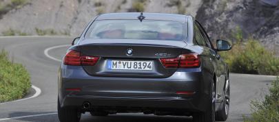 BMW 4-Series Coupe (2014) - picture 15 of 97