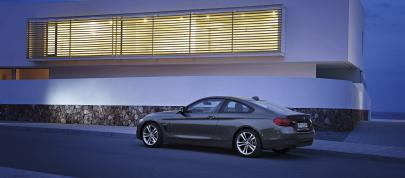 BMW 4-Series Coupe (2014) - picture 20 of 97