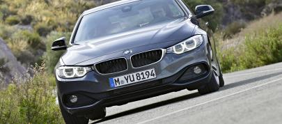 BMW 4-Series Coupe (2014) - picture 28 of 97