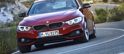 BMW 4-Series Coupe (2014) - picture 55 of 97