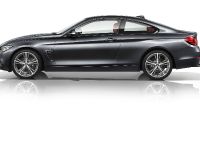 BMW 4-Series Coupe (2014) - picture 10 of 97