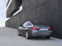 BMW 4-Series Coupe (2014)