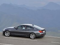 BMW 4-Series Coupe (2014) - picture 18 of 97