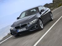 BMW 4-Series Coupe (2014)