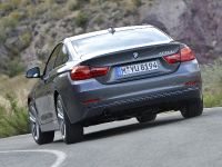 BMW 4-Series Coupe (2014) - picture 30 of 97