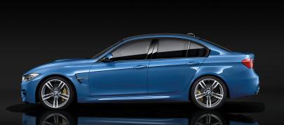 BMW M3 (2014) - picture 15 of 18