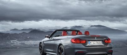 BMW M4 Convertible (2014) - picture 7 of 37