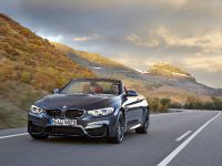 BMW M4 Convertible (2014) - picture 14 of 37
