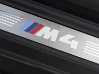 BMW M4 Convertible (2014)