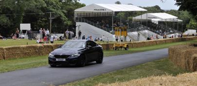 BMW M4 Coupe Individual - Goodwood (2014) - picture 4 of 5