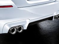 BMW M5 M Performance Accessories (2014) - picture 6 of 14