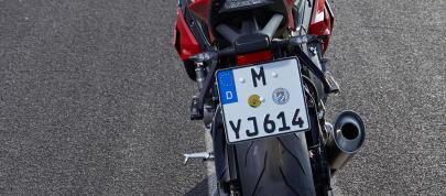 BMW S 1000 R (2014) - picture 23 of 25