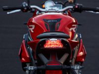 BMW S 1000 R (2014) - picture 14 of 25