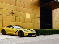 Chevrolet Corvette C7 Stingray (2014) - picture 8 of 12