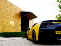 Chevrolet Corvette C7 Stingray (2014) - picture 10 of 12