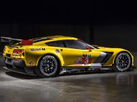 Chevrolet Corvette C7R (2014) - picture 4 of 5