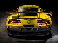 Chevrolet Corvette C7R (2014) - picture 5 of 5