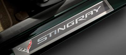 Chevrolet Corvette Stingray Premiere Edition Convertible (2014) - picture 7 of 8
