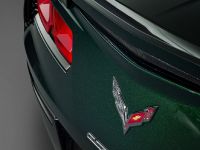 Chevrolet Corvette Stingray Premiere Edition Convertible (2014) - picture 6 of 8