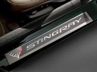 Chevrolet Corvette Stingray Premiere Edition Convertible (2014) - picture 7 of 8