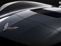 Chevrolet Corvette Stingray (2014) - picture 19 of 23
