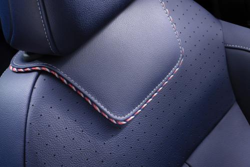 Citroen DS 3 De La Fressange Paris Concept (2014) - picture 8 of 8