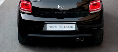 Citroen DS3 Cabrio (2014) - picture 12 of 17