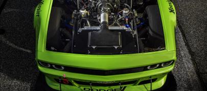 Dodge Challenger SRT (2014) - picture 7 of 8