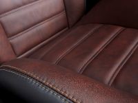 Dodge Charger 100th Anniversary Edition (2014) - picture 14 of 18