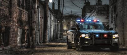 Dodge Charger Pursuit AWD (2014) - picture 4 of 12