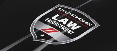 Dodge Charger Pursuit AWD (2014) - picture 12 of 12