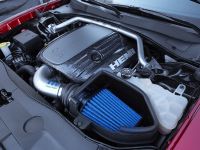 Dodge Charger RT with Scat Package 3 (2014)