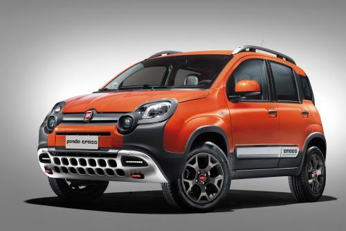 Fiat Panda Cross (2014) - picture 1 of 2