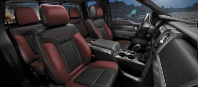 Ford F-150 SVT Raptor Special Edition (2014) - picture 4 of 7