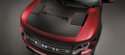 Ford F-150 SVT Raptor Special Edition (2014) - picture 7 of 7
