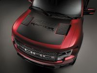 Ford F-150 SVT Raptor Special Edition (2014) - picture 7 of 7