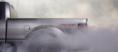 Ford F-150 Tremor (2014) - picture 4 of 18
