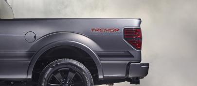 Ford F-150 Tremor (2014) - picture 7 of 18