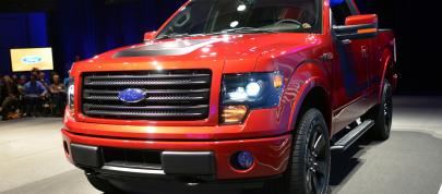 Ford F-150 Tremor (2014) - picture 15 of 18