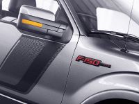 Ford F-150 Tremor (2014) - picture 11 of 18