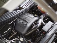 Ford F-150 Tremor (2014)